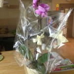 %d7%96%d7%9b%d7%a8%d7%95%d7%9f-%d7%99%d7%a2%d7%a7%d7%91-%d7%90%d7%a0%d7%92%d7%9c%d7%99%d7%aa