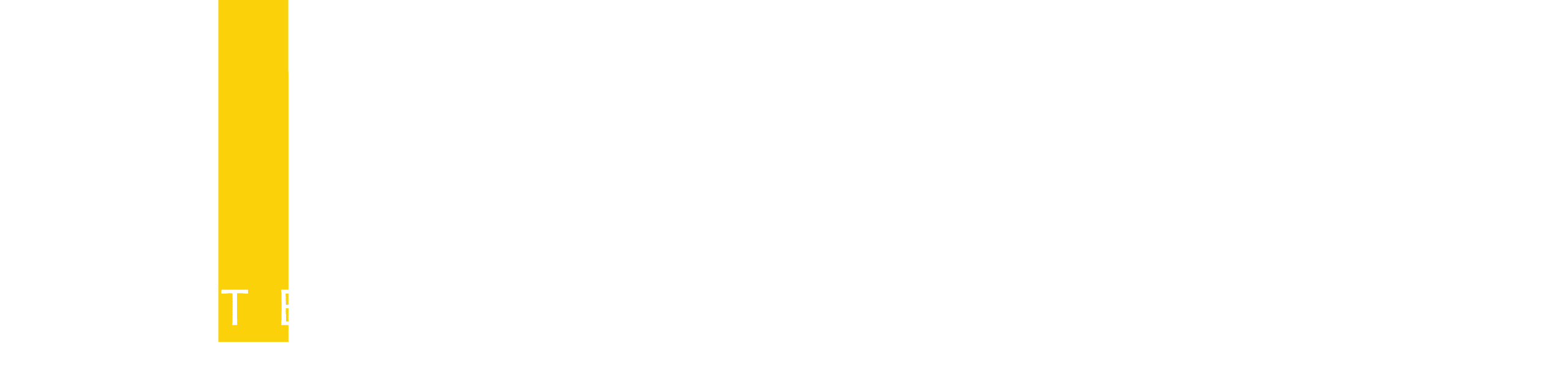 מעצבת פנים אלה מורגן